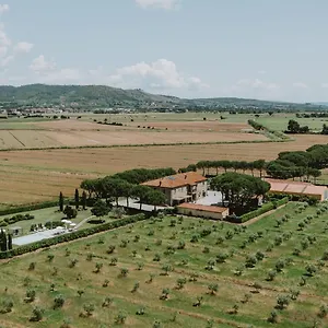 Gospodarstwo agroturystyczne Terra Di, Cortona